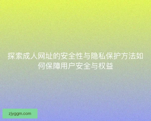 探索成人网址的安全性与隐私保护方法如何保障用户安全与权益